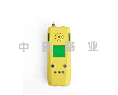 泵吸式可燃?xì)?一氧化碳二合一檢測(cè)儀
